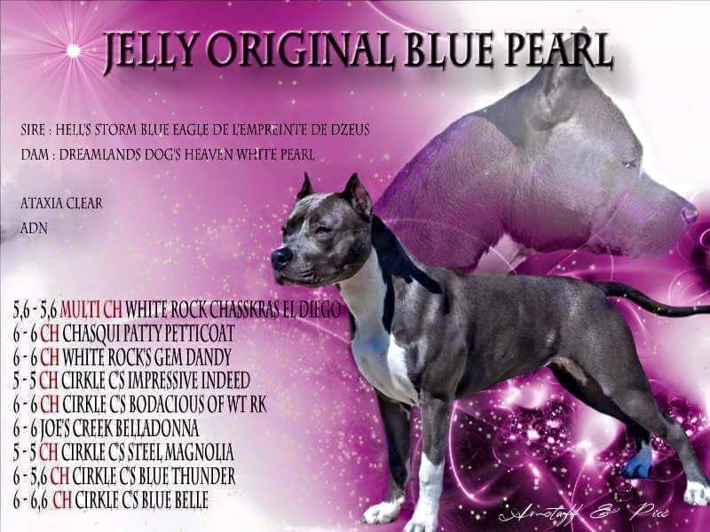 Jelly original blue pearl (Sans Affixe)